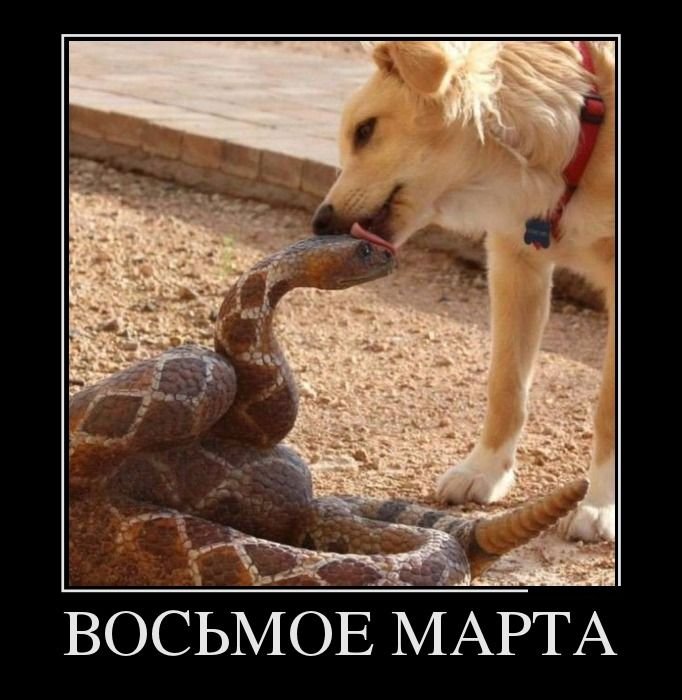 VFL.RU -  