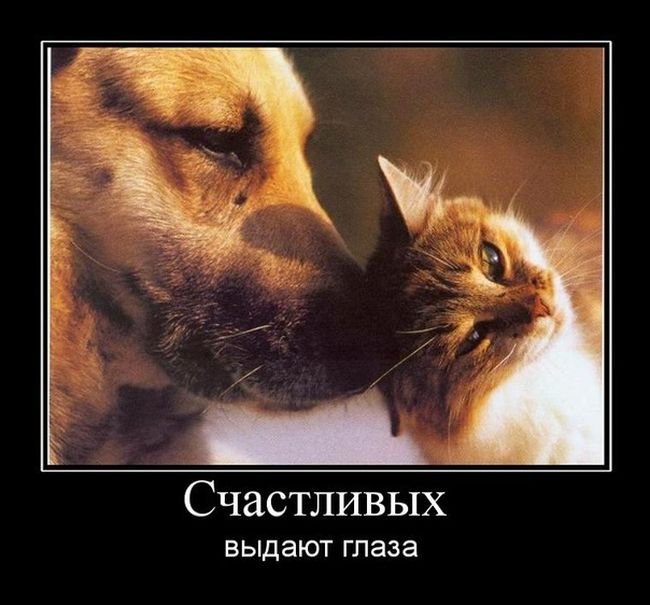 VFL.RU -  