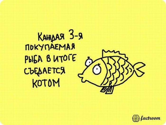 VFL.RU -  