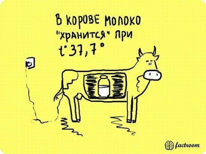 VFL.RU -  