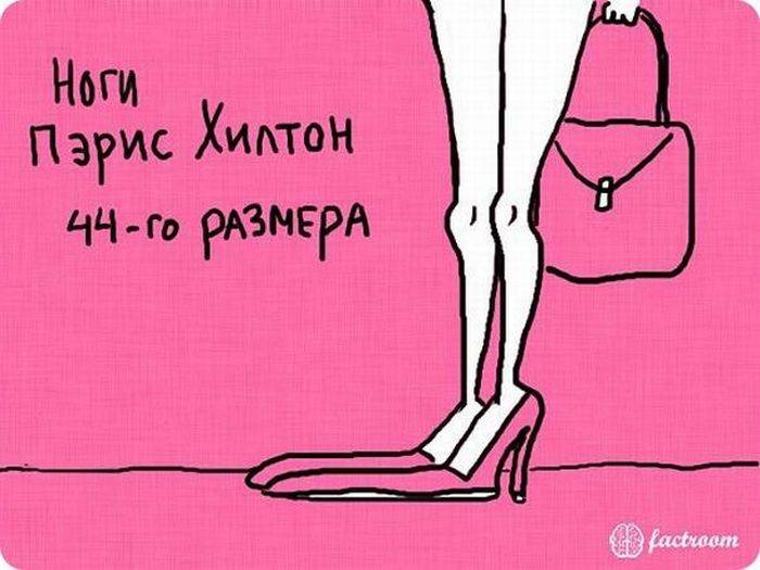VFL.RU -  