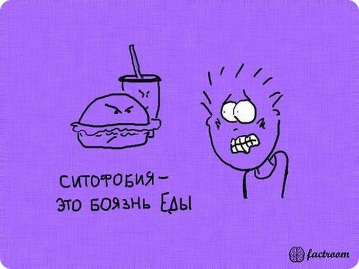 VFL.RU -  