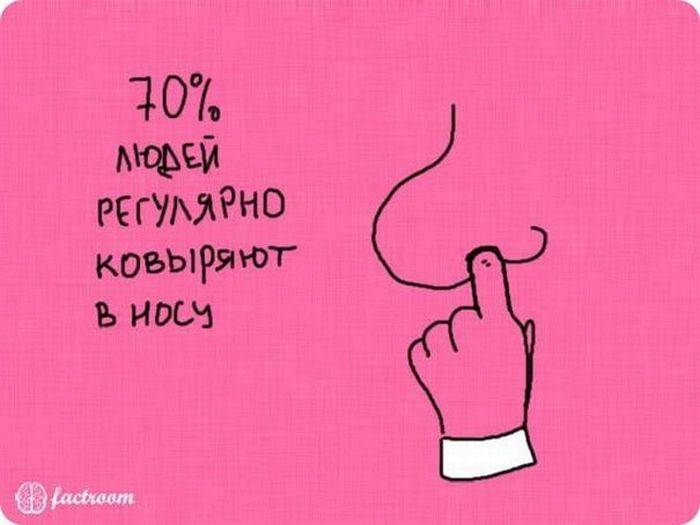 VFL.RU -  