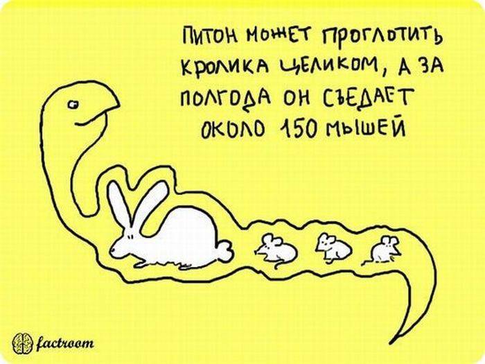 VFL.RU -  