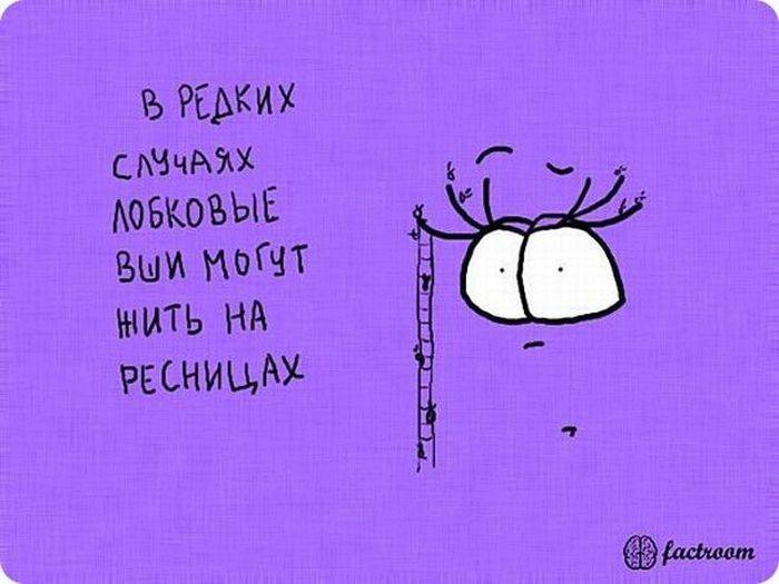 VFL.RU -  