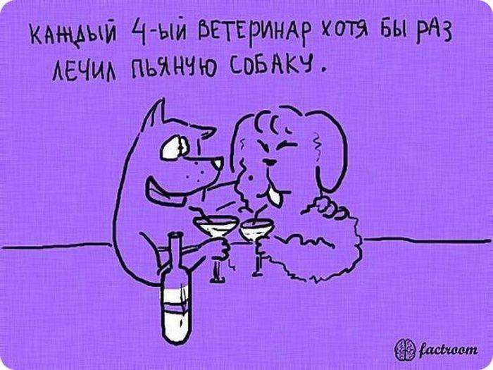 VFL.RU -  