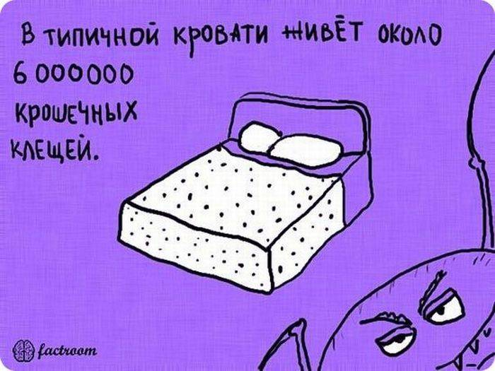 VFL.RU -  