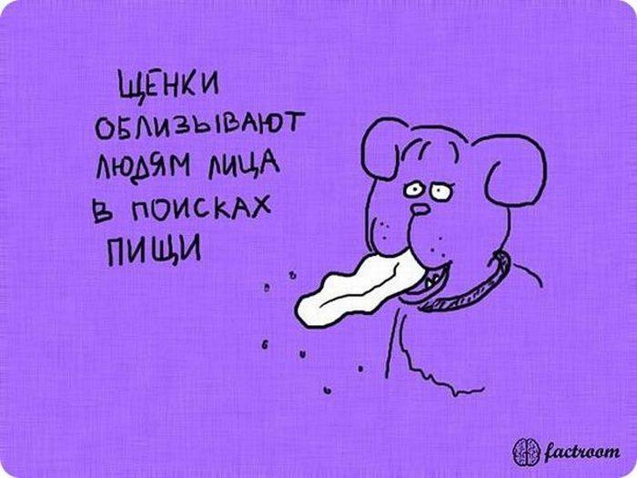 VFL.RU -  