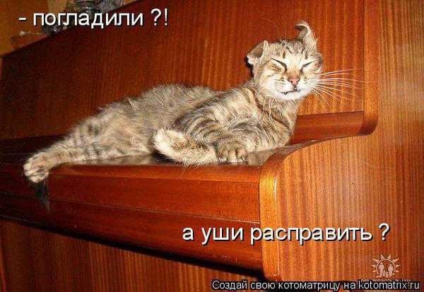 VFL.RU -  