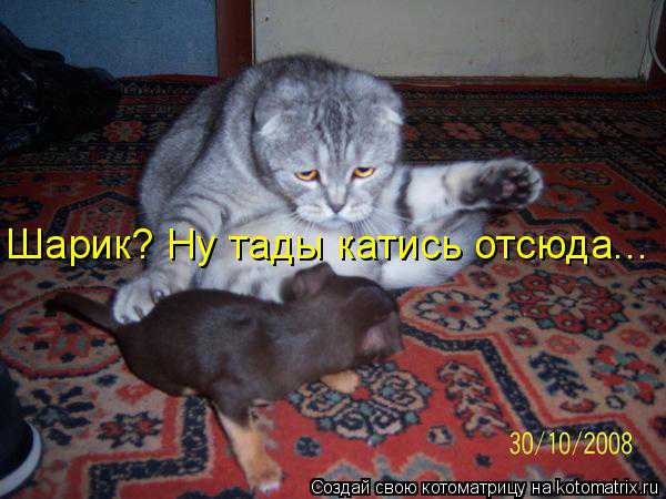 VFL.RU -  
