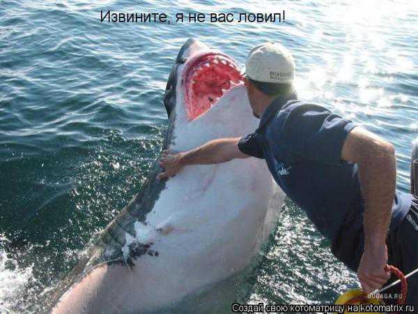 VFL.RU -  