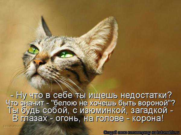 VFL.RU -  
