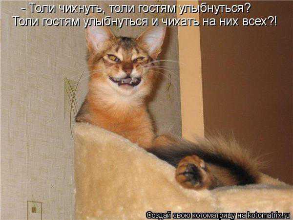 VFL.RU -  