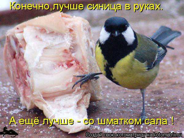 VFL.RU -  