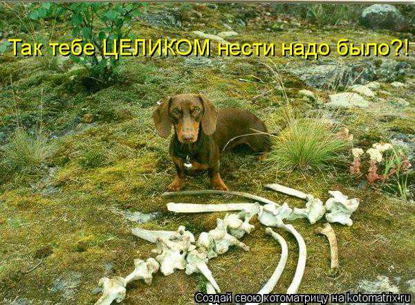 VFL.RU -  