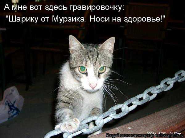 VFL.RU -  