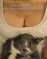 VFL.RU - ваш фотохостинг