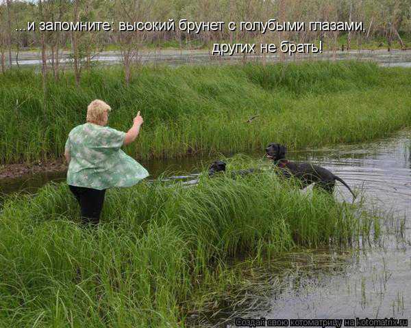 VFL.RU -  
