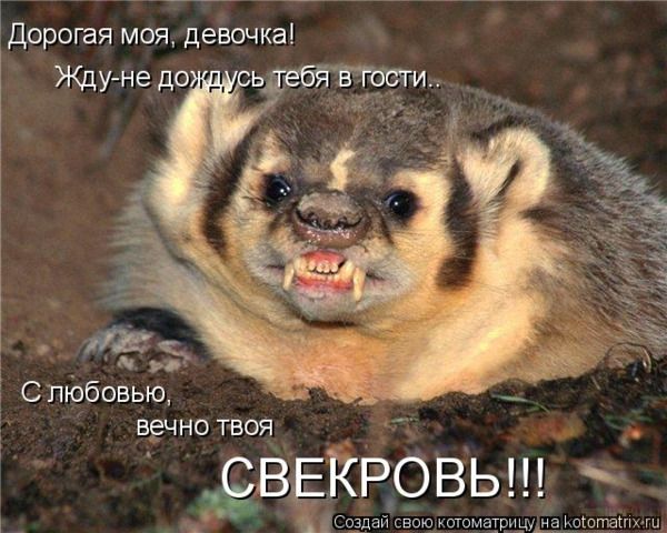 VFL.RU -  