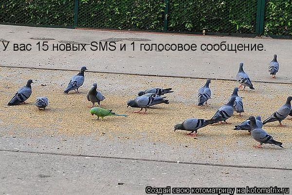 VFL.RU -  