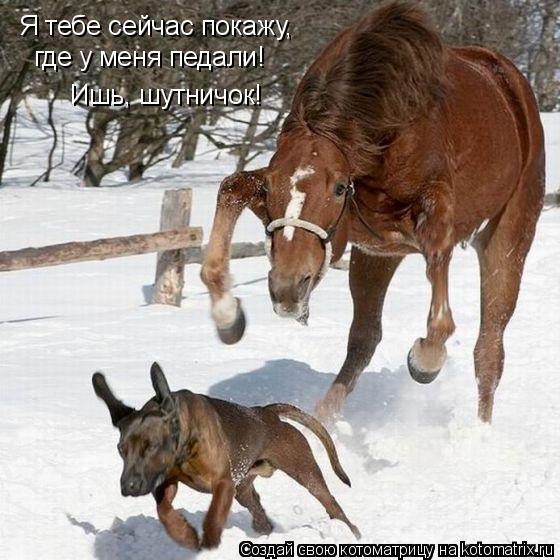 VFL.RU -  
