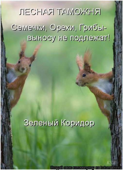 VFL.RU -  