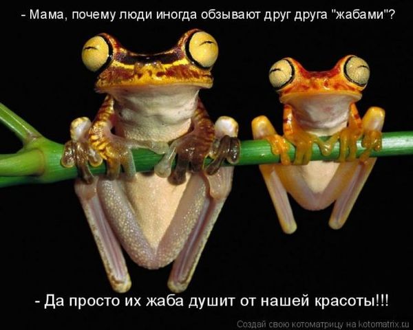 VFL.RU -  