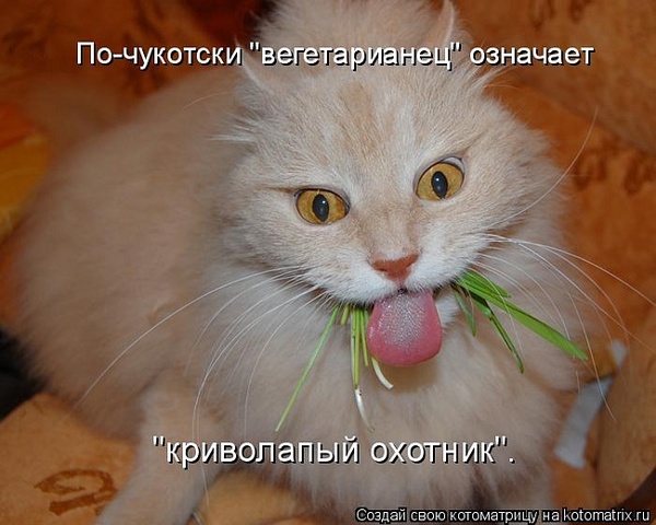 VFL.RU -  