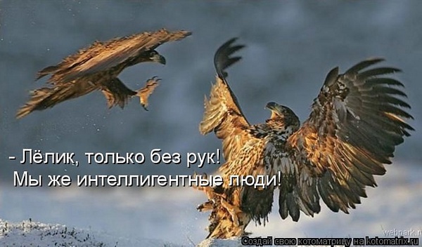 VFL.RU -  