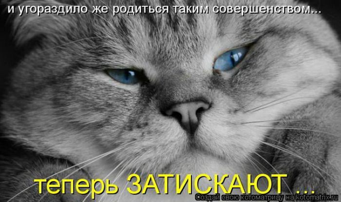 VFL.RU -  