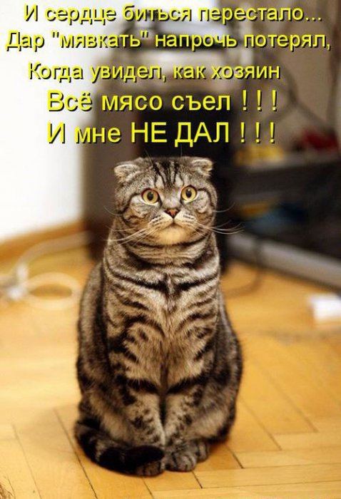 VFL.RU -  