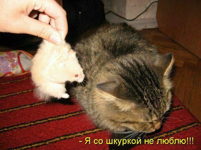 VFL.RU -  