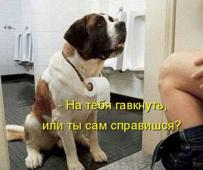 VFL.RU -  