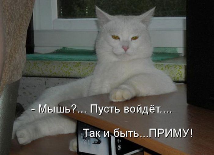 VFL.RU -  