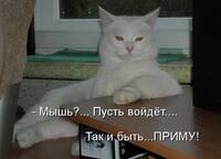 VFL.RU - ваш фотохостинг