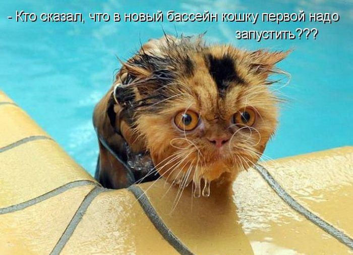 VFL.RU -  