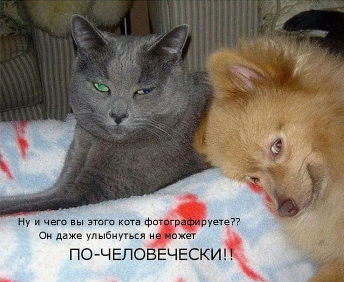 VFL.RU -  