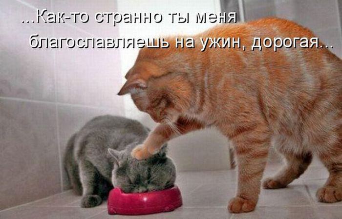 VFL.RU -  