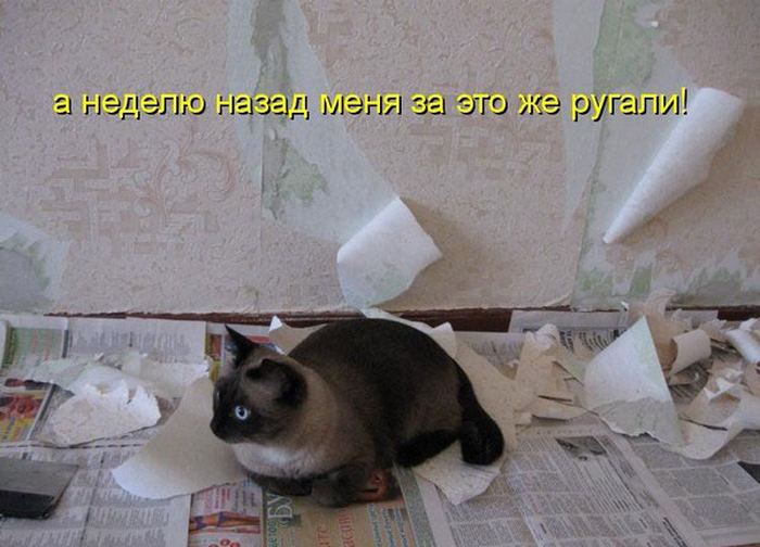 VFL.RU -  