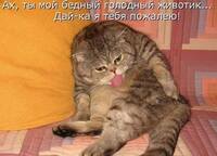 VFL.RU - ваш фотохостинг