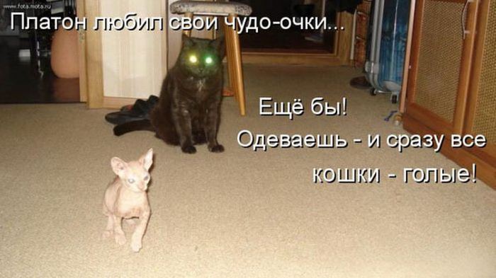 VFL.RU -  