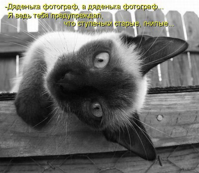 VFL.RU -  