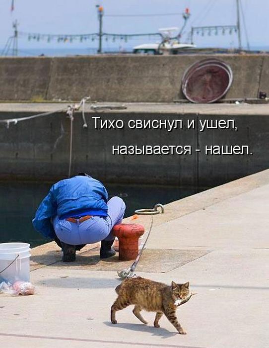 VFL.RU -  