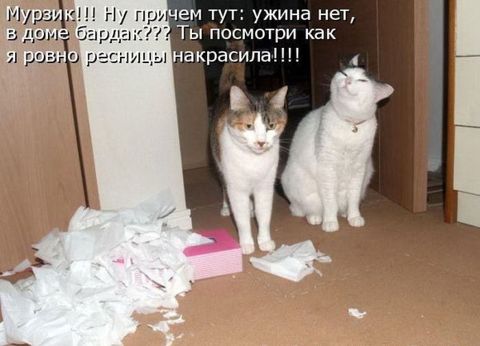 VFL.RU -  