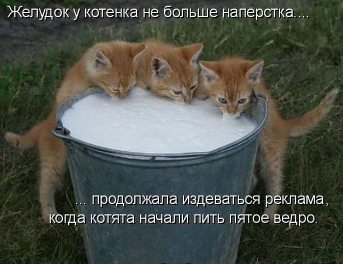 VFL.RU -  
