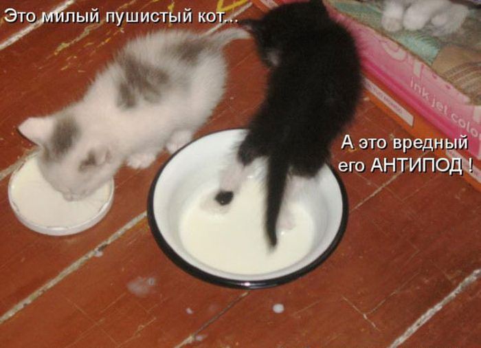 VFL.RU -  