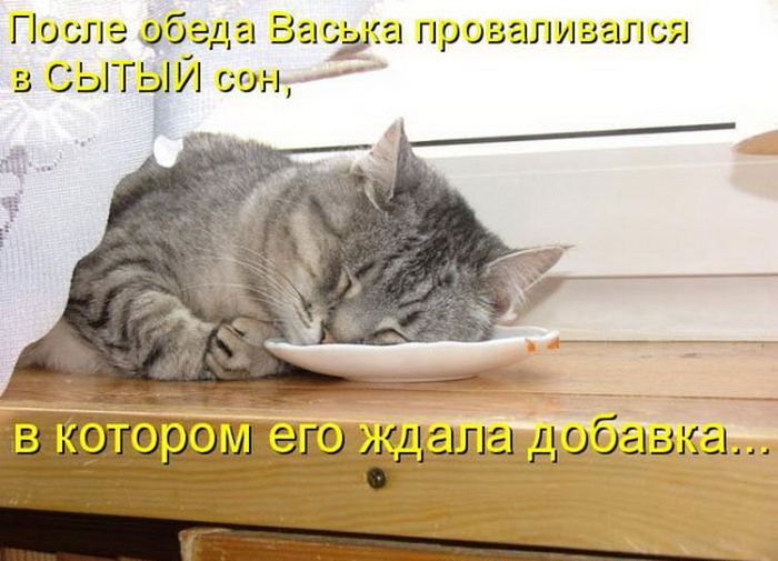 VFL.RU -  