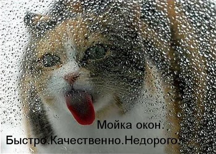 VFL.RU -  
