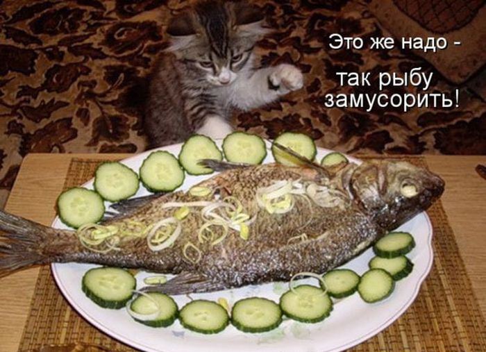 VFL.RU -  