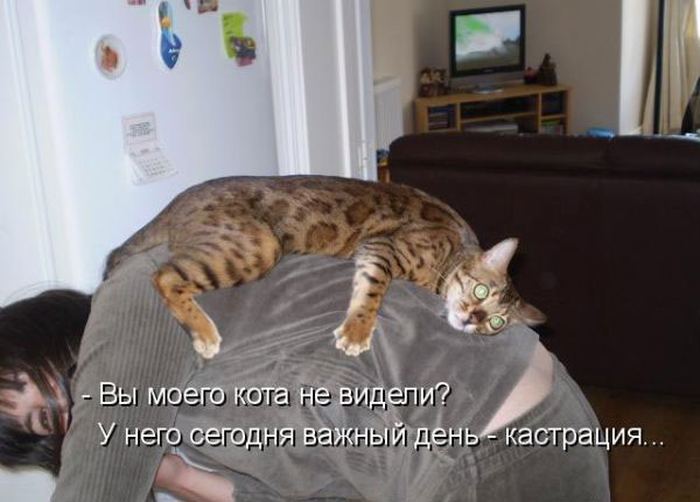 VFL.RU -  